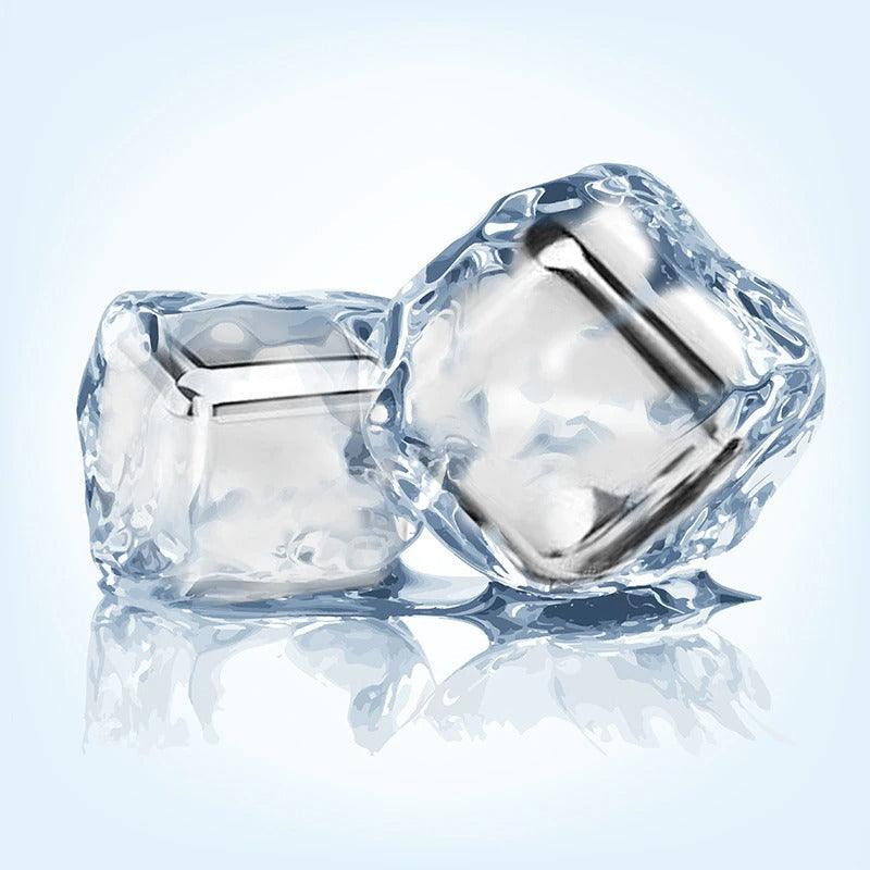 Antarctica Stainless Steel Ice Cube