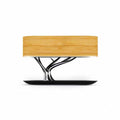 HomeTree Bluetooth Table Lamp