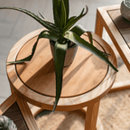 Melba Ashwood Side Table