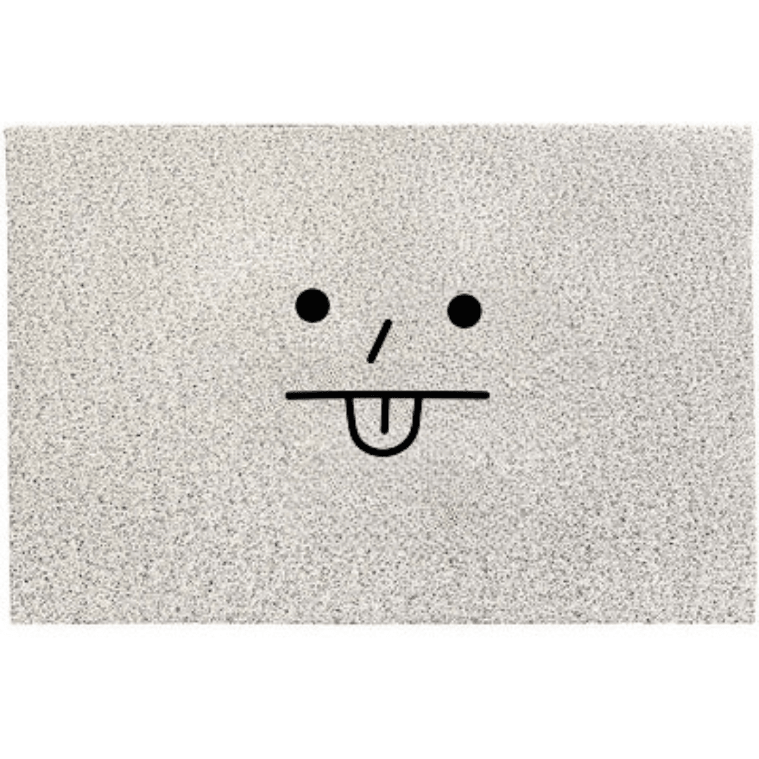 Zoya Non-Slip Door Mat